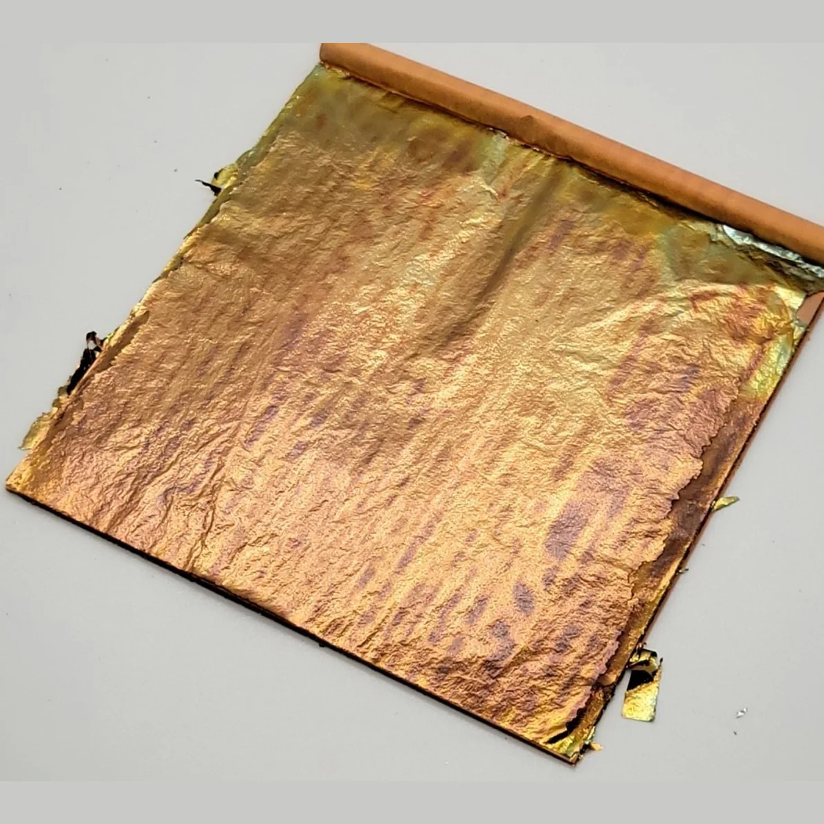 Tropical Glitz Variegated Leaf - Image 16