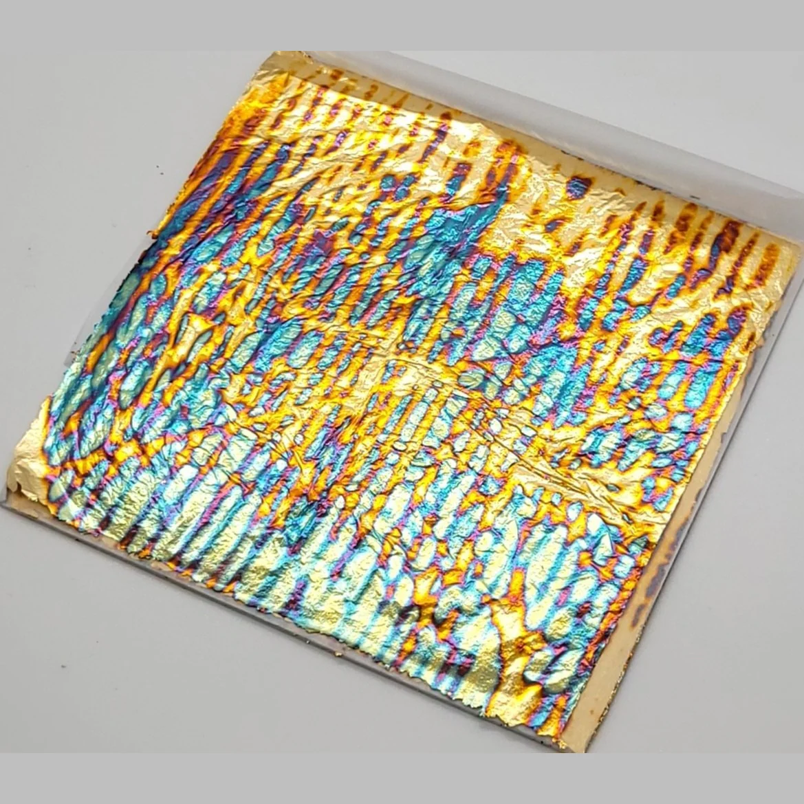 Tropical Glitz Variegated Leaf - Image 9